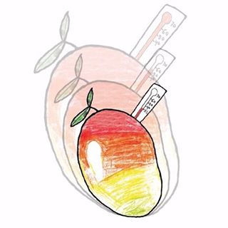 Мангофебер СИПА