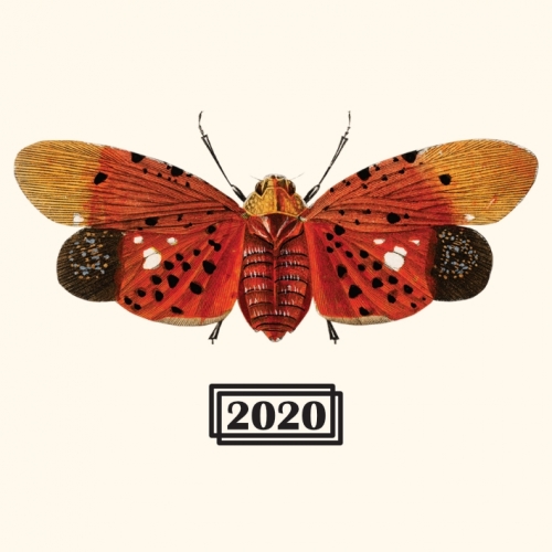 Бретт Сериес - Империал Берлинер Вайссе - Ламбикус & Амальгамация