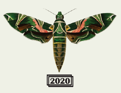 Бретт Сериес - Сезон - Брюкселленсис Труа Вре