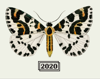 Бретт Сериес - Биер Де Бле - Сахаромицес Брукс-Лайк Труа