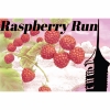 Распберри Ран