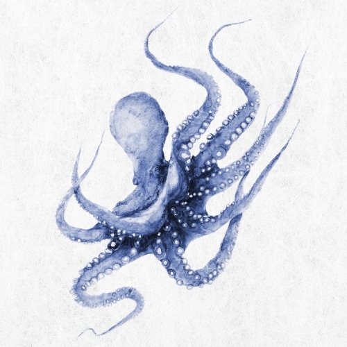 Коустал Пилс