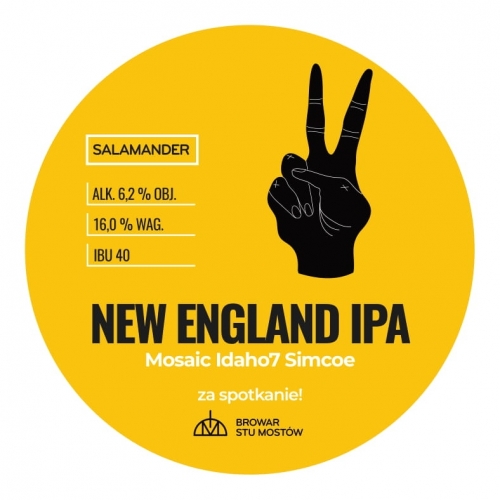 Саламандер Нью-Ингленд ИПА Мозаик Айдахо7 Симко
