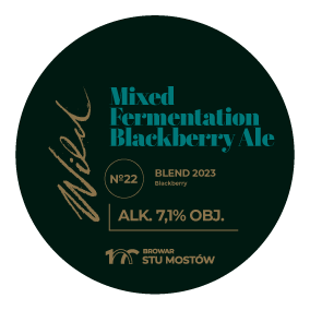 ВИЛД#22 Блэкберри Миксед Ферментатион Эль
