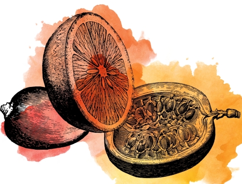 Кислый Манго Орандж Пассионфрут