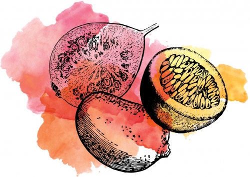 Кислый Гуава Манго Пассифрут