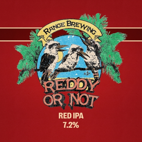 Редди Ор Нот