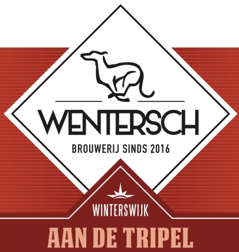 Аан Де Триппель