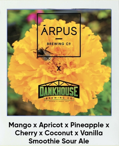 Арпус Икс ДанкХаус Манго Икс Априкот Икс Пайнэпл Икс Черри Икс Коконат Икс Ванилла Смузи Соур Эль