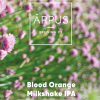 Блад Оранж Милкшейк ИПА