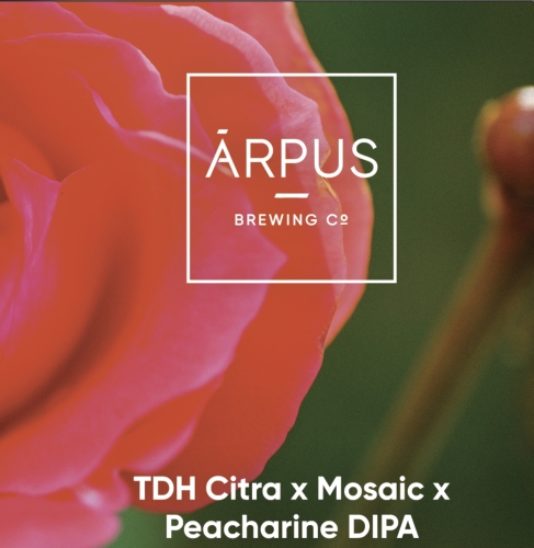 ТДХ Ситра Х Мозаик Х Пичерин ДИПА