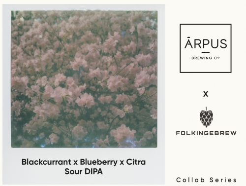 Блэккеррант x Блюберри x Ситра Саур ДИПА