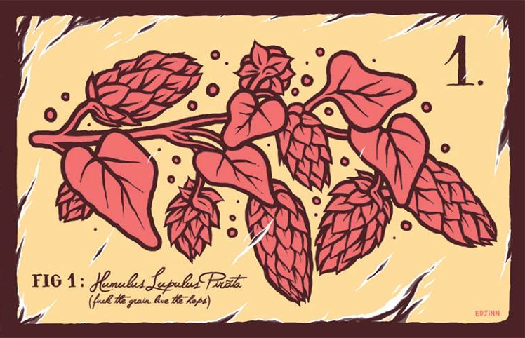 Лупулус Пирата