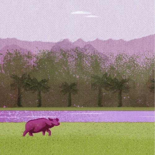 Коконат Убе Блонд