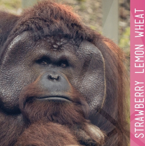 Строберри Лемон Вит