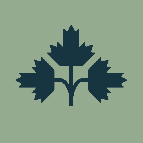 Пейпер Сейлсмен