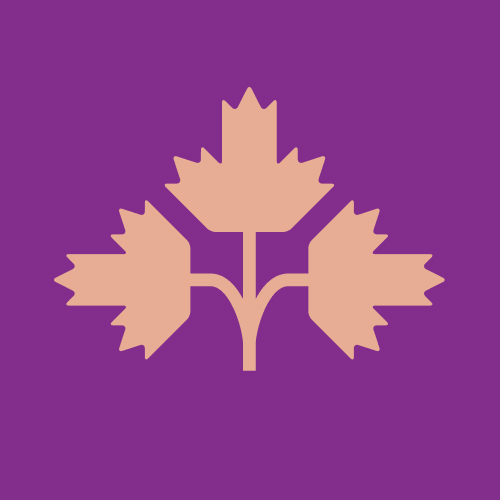 Самсин Бьютифул Сэшн ИПА