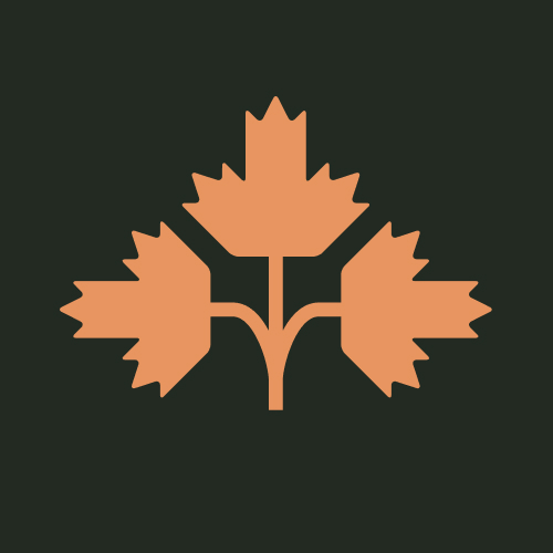 Даркест Хауэр Чек-Стайл Дарк Лагер