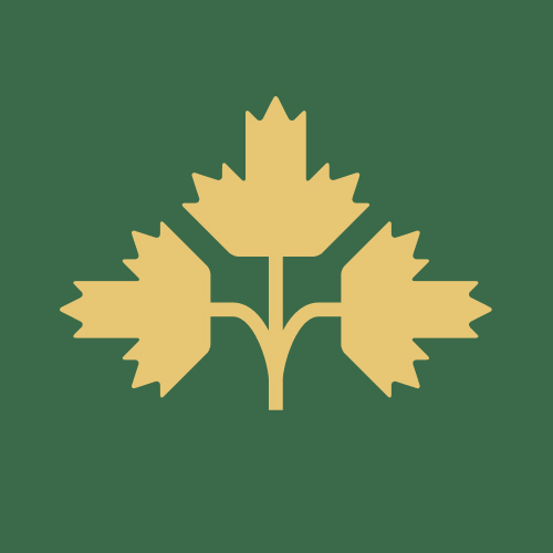 Уайлдернесс Готик