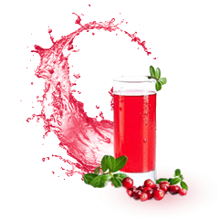 ФрутВуд Барбарис