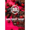 Дарк Форест Теори