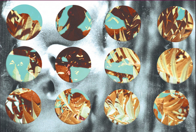 Темпестарии