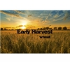 Эрли Харвест