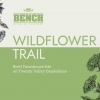 Вайлдфлауэр Трейл