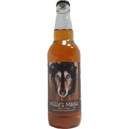 Миллис Мэджик