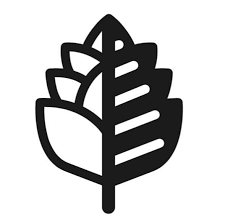 Бич Бам Брю