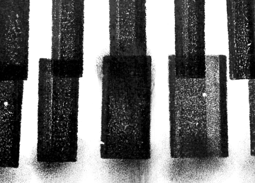 Коконат Стаут 2025