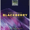 Блэкберри (2018)