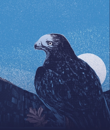 Брайтер Зан Старлайт