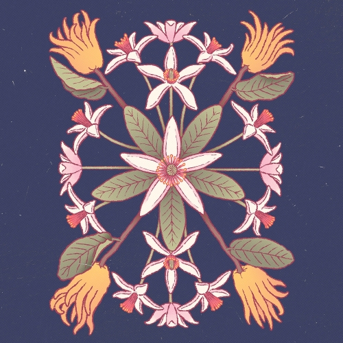 Гозе Дю Барон