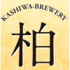 Кашива Эль
