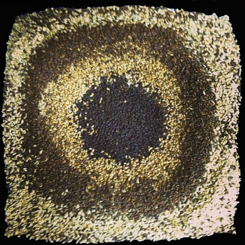 Стриткар Стаут