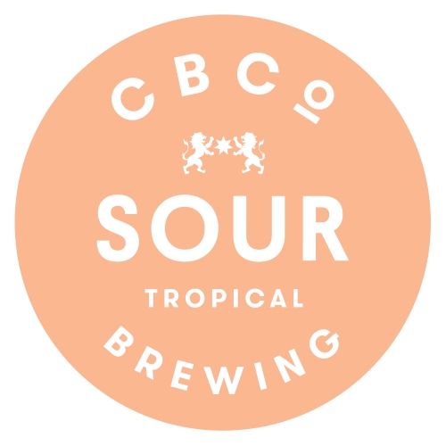 Саут-Вест Сур