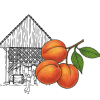 Кантри Гёрл Фармхаус Виз Пичес