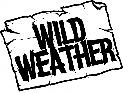 ЭН-Дабл-Ю 3 Эль