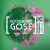 Гусберри Гозе