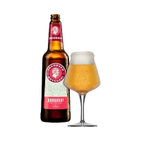 Якобсен Барбарас Изи ИПА