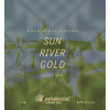 Дабл Драй-Хоппд Сан Ривер Голд