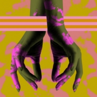 Хэндс Оф Дезир - Гозе Совиньон (5 Монтс Баррел Эйджд)