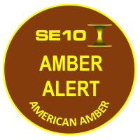 Амбер Алерт 2025