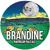 Брандин