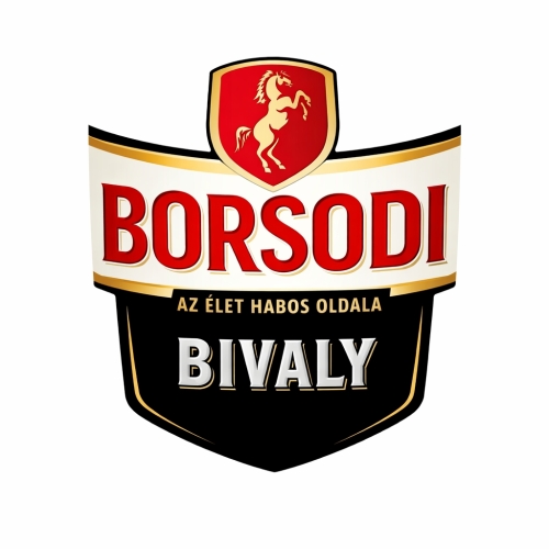 Борсоди Бивальи