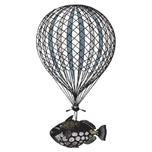 Коффи Уайт Эль