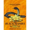 Блэк Мамба