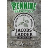 Джейкобс Лэддер