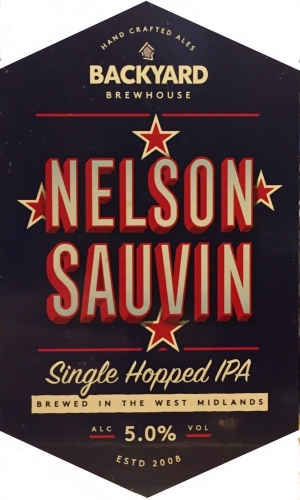 Нельсон Совин